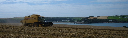 Combimusslewick2009